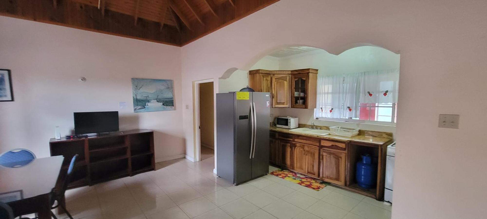 Wizzy Apartment White River Ocho Rios Room photo